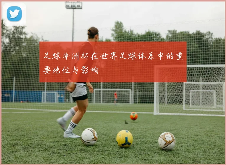 足球非洲杯在世界足球体系中的重要地位与影响