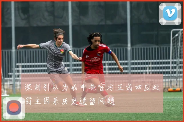 深刻引以为戒申花官方正式回应处罚主因系历史遗留问题